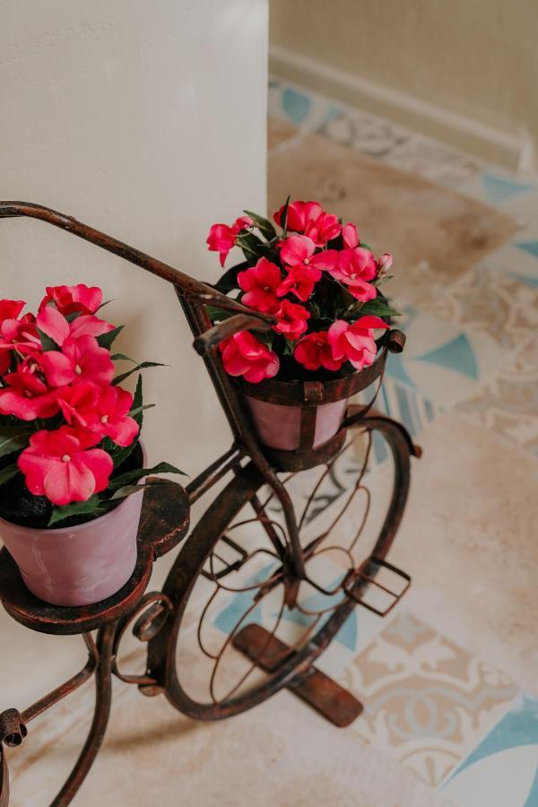 Hotel Boutique Casa Sanchez (Adults Only) Санто-Домінго Екстер'єр фото